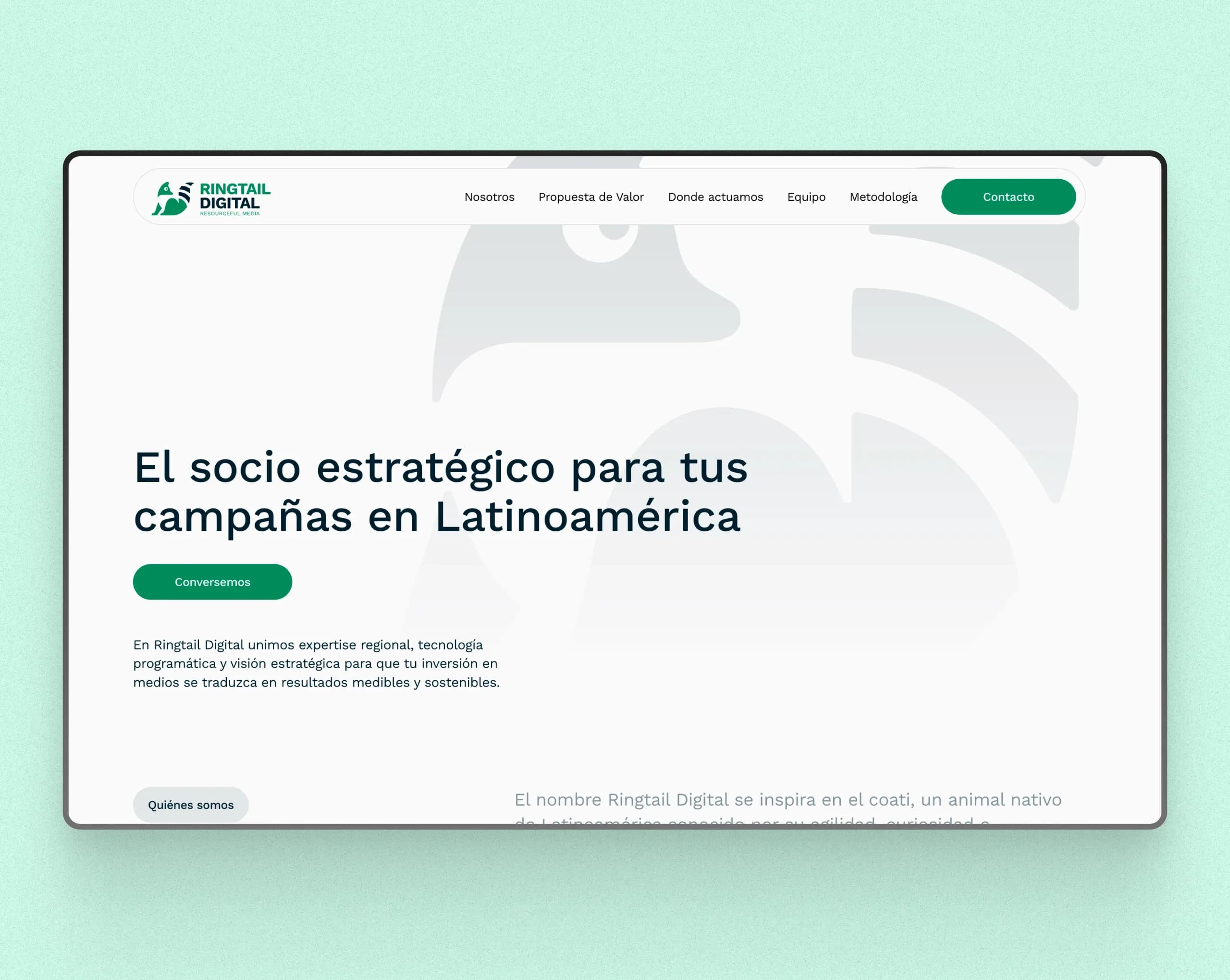 Ringtail Digital | Programmatic Media in LATAM