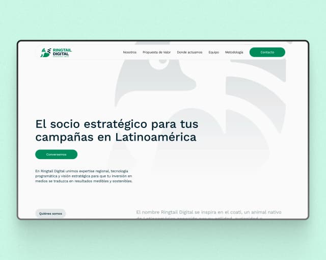 Ringtail Digital | Programmatic Media in LATAM